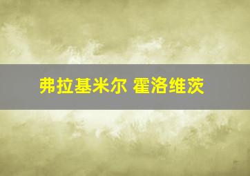 弗拉基米尔 霍洛维茨